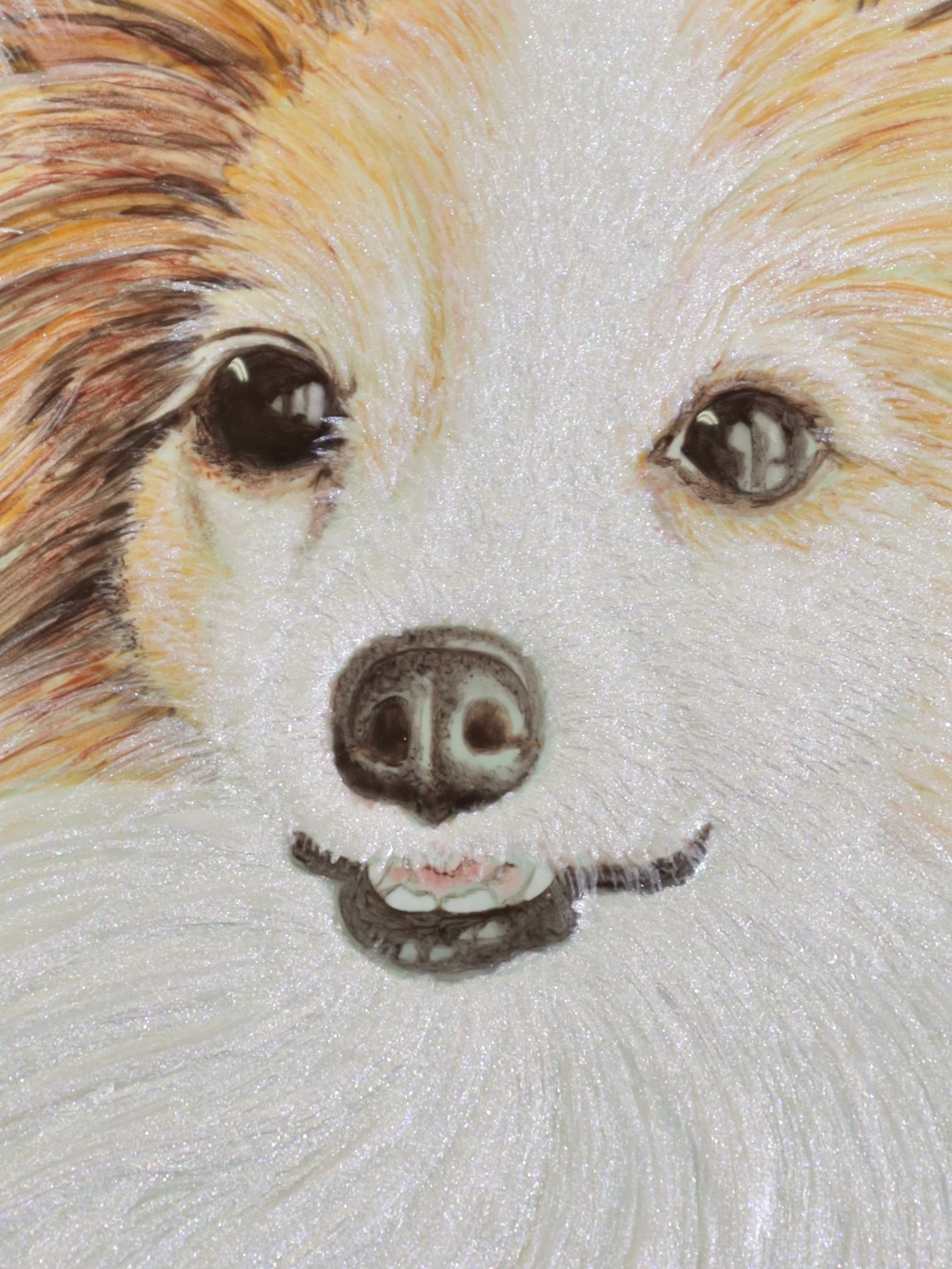 陶雅に描かれた愛犬ベルの瞳の輝き